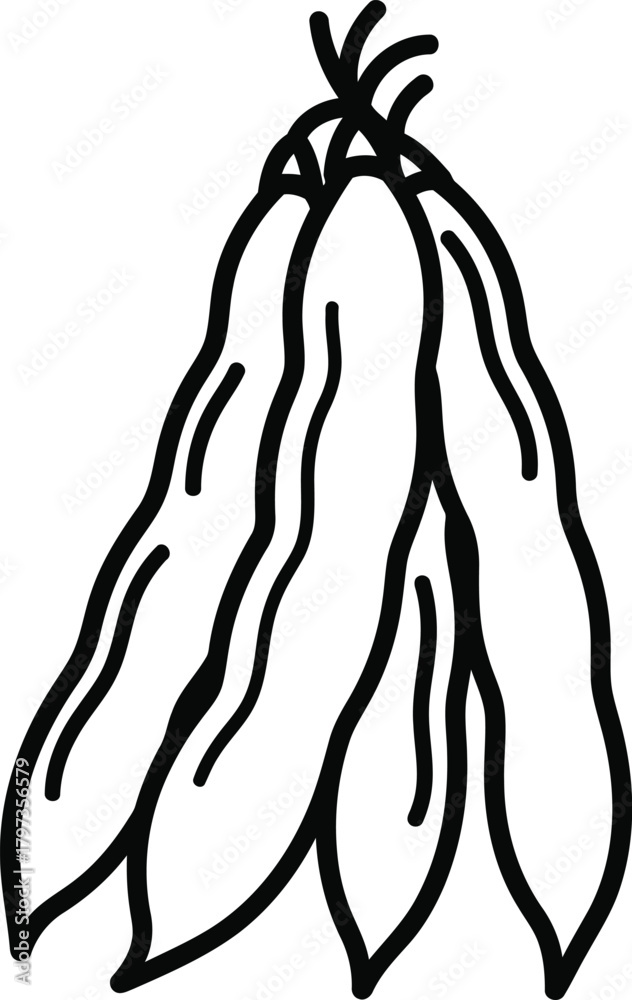 Fototapeta premium Outline drawing of fresh green beans, healthy organic food vector.
