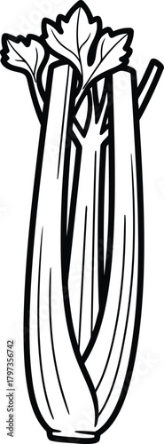 Monochromatic line art drawing of whole celery vegetable with foliage