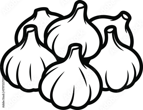 Garlic bulbs line art illustration, simple monochrome vector