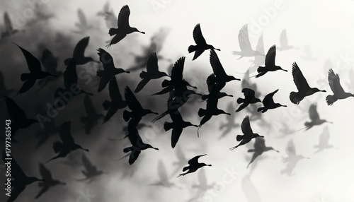 Flock of Birds in Flight