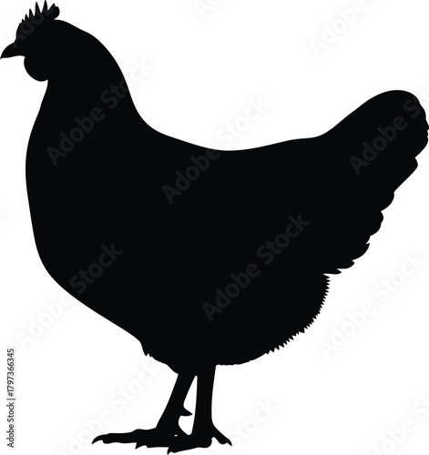 Black chicken silhouette vector illustration poultry farm animal art eps