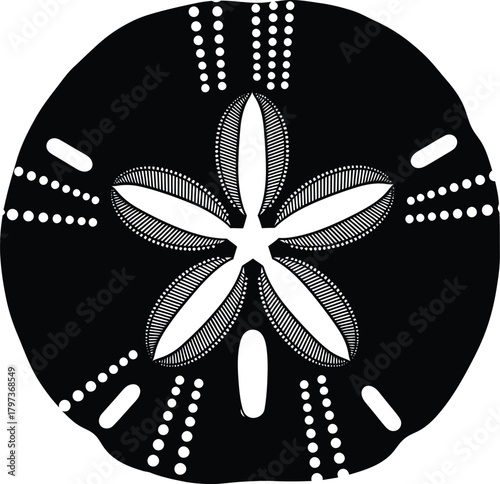 Black and white sand dollar illustration sea life beach ocean design eps silhouette