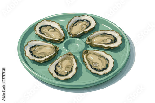Six freshly shucked oysters on the half shell displayed on a mint green seafood platter