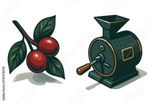 Vintage coffee roasting machine and fresh ripe coffee cherries on a branch