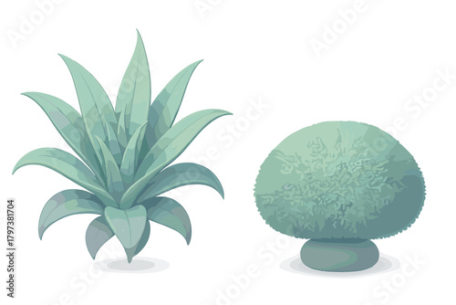 Stylized green garden plants set featuring a rosette succulent and a textured round shrub