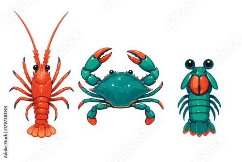 Brightly colored spiny lobster, blue crab, and mantis shrimp set on white background
