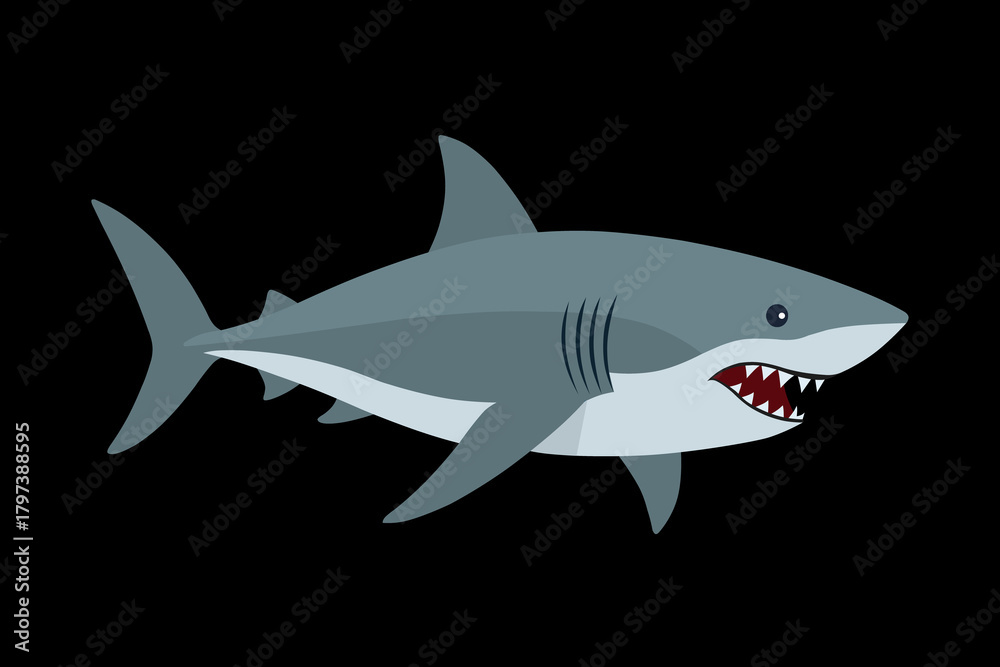 Obraz premium shark vector illustration
