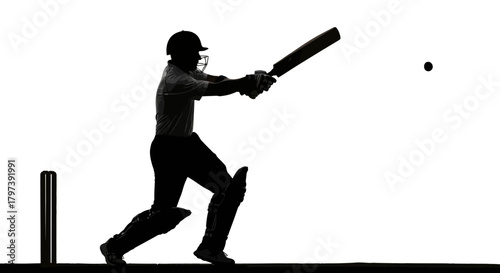 Silhouette of a cricket batsman hitting a ball with wickets in the background