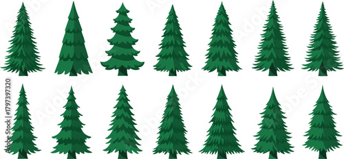 Assortment of green pine trees in various styles fir tree