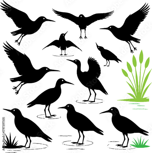 Silhouette collection of various wading birds in different poses on white
