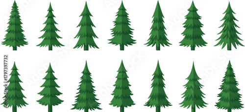 Collection of Green Pine Trees on White Background