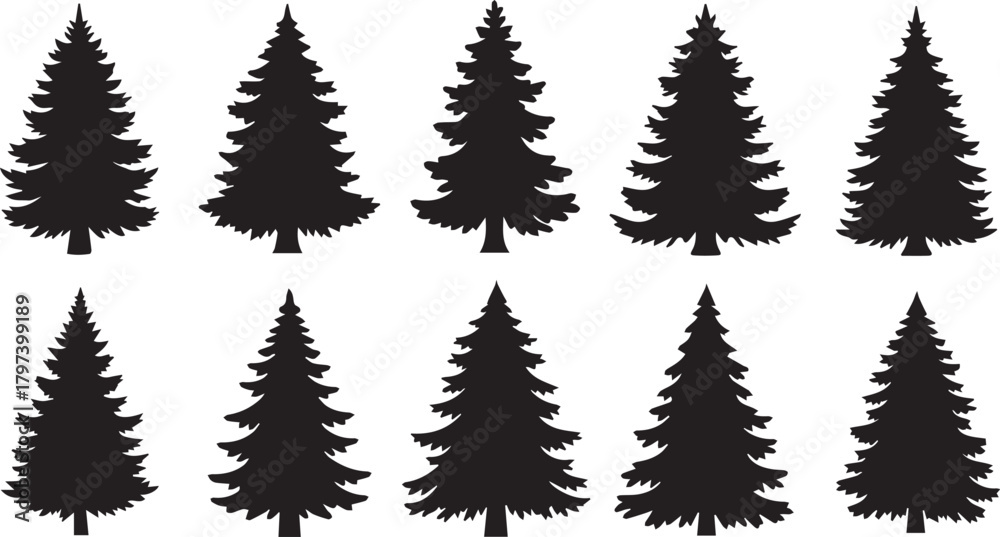 Obraz premium Silhouette Set of Pine Trees fir tree conifer