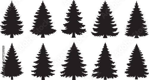Silhouette Set of Pine Trees fir tree conifer