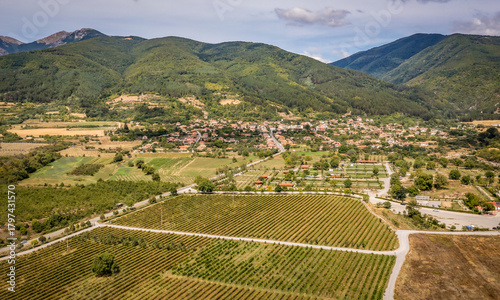 Aerial view of rose fields near Skobelevo village in Rose Valley, Bulgaria