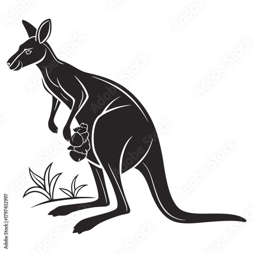 kangaroo vector illustration