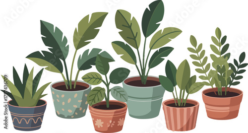 Assortment of potted houseplants with green leaves and decorative pots potted plants indoor plants
