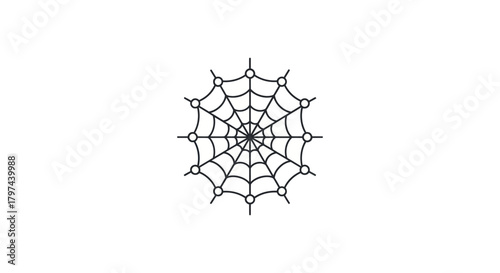 Detailed Black and White Spider Web Illustration.