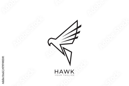Abstract line logo of eagle, eagle vector logo with simple design