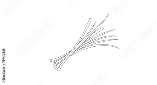 Bundle of hollow leaves stalks line drawing vector illustration