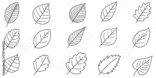 Hand-drawn doodle set of leaves on a white background.