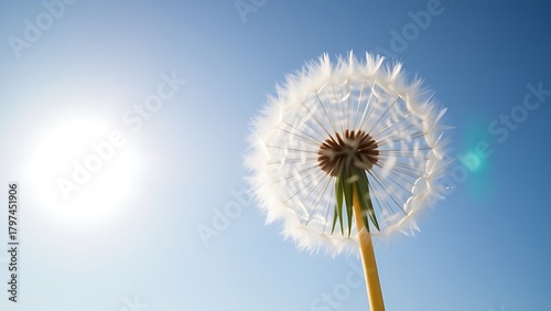 anemometer. Dandelion seeds spinning in the wind against a blue sky. ESG reports, sustainability campaigns, designed for environmental awareness campaigns, used by graphic designers.