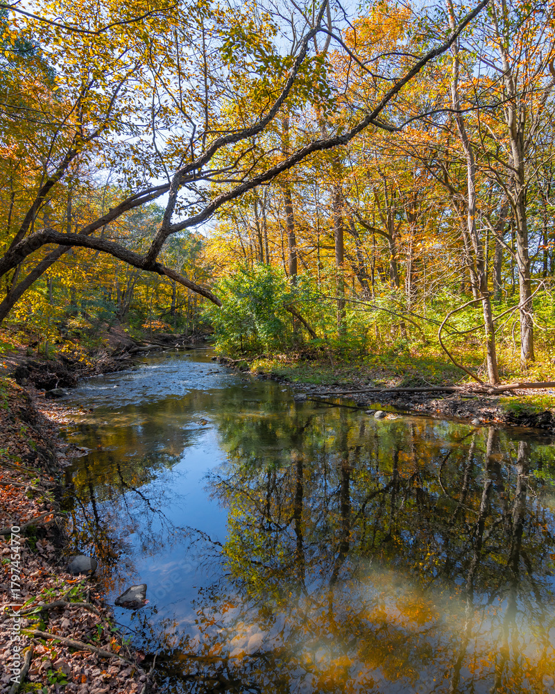 Fototapeta premium Waterfall Glen Forest Preserve view in Illinois