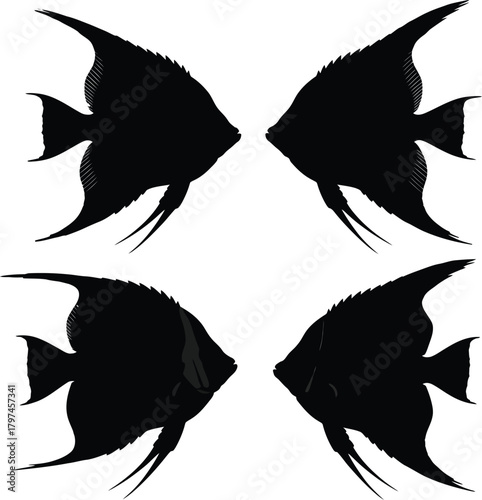 Black angelfish silhouette vector graphic aquarium fish design element eps