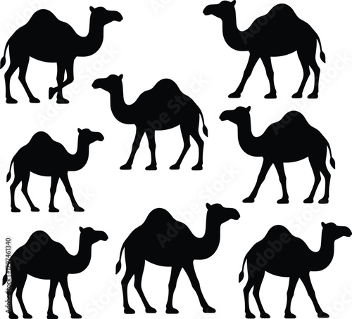Camel silhouette collection featuring desert animal poses, Arabian wildlife icons, dromedary shapes, black vector illustrations for design and decoration