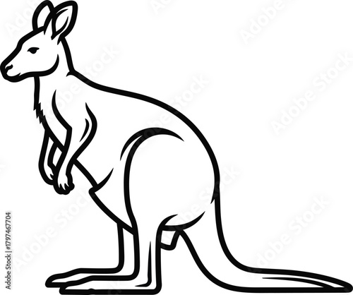 Kangaroo line art vector illustration australian animal outline drawing eps silhouette