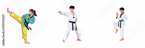 Minimalist Taekwondo Player Stance Character Style Action Sport Illustration