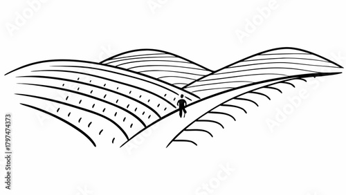Minimilist a lone figure walking on a path through rolling hills and cultivated fields in a minimalist line drawing vector