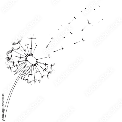 Stylized Black and White Dandelion with Seeds Blowing Away
