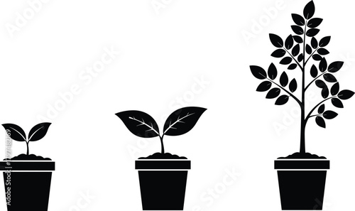 Silhouette illustration of plant growth stages in pots showing small sprout, young plant and mature tree symbolizing development, nature, sustainability and progress