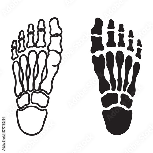Human Foot Skeleton Outline and Silhouette Illustration
