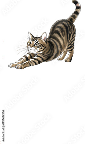 Realistic Tabby Cat Stretching Pose Vector Illustration - Cute Pet Animal Graphic