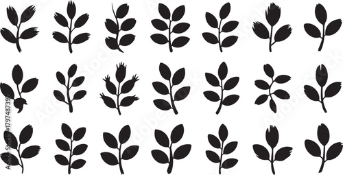 Black botanical branches with leaves and buds leaf