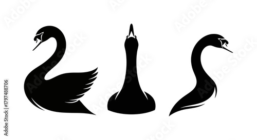 Elegant Black Swan Silhouette Vector Set - Graceful Bird Logo or Waterfowl Symbol