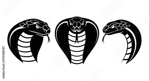 Black Stylized Cobra Snake Head Vector Set - King Cobra Mascot or Tattoo Design