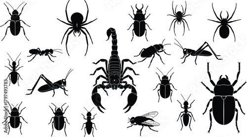 Collection of detailed insect silhouettes including spiders, scorpion, ants, beetles, grasshoppers, flies, and termites for entomology design, nature illustration graphics