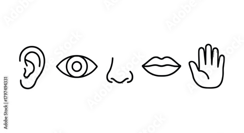 Five senses icon set sensory perception outline vector design