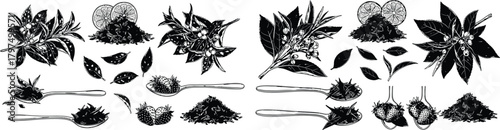 Botanical elements for tea including leaves, berries, lemon slices, and wild strawberries on spoons