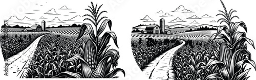 Expansive cornfield landscape with a winding dirt road leading towards distant farm buildings under a cloudy sky