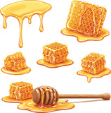 PrintSet of Realistic Honeycomb Pieces with Dripping Honey and Dipper Vector Illustration - Sweet Food Graphic