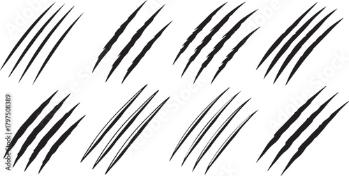 Cat tiger scratches paw shape animal claw scratches mark set eps