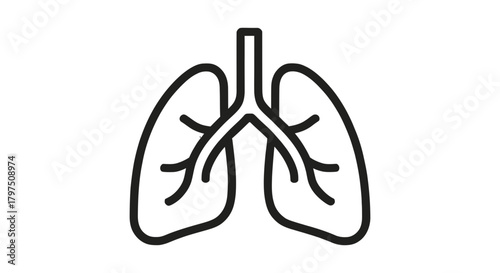 Lungs respiratory system human anatomy health care illustration