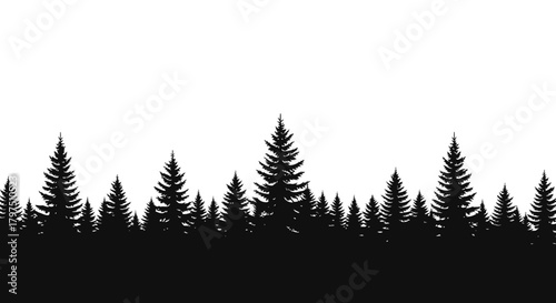 Silhouette of evergreen trees creates a dense forest edge against a white background.
