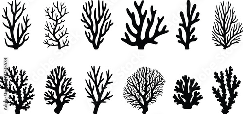 Coral silhouette, marine shape collection, black ocean icons, underwater graphic design, reef structure art, sea life symbol, aquatic illustration