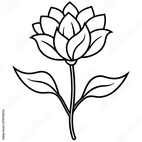 vector illustration of a flower