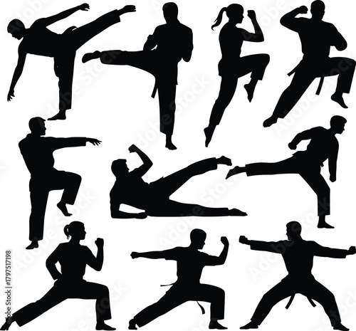 Martial arts silhouette, fighting pose collection, black athlete icons, karate kick design, taekwondo stance, kung fu motion, combat action artwork