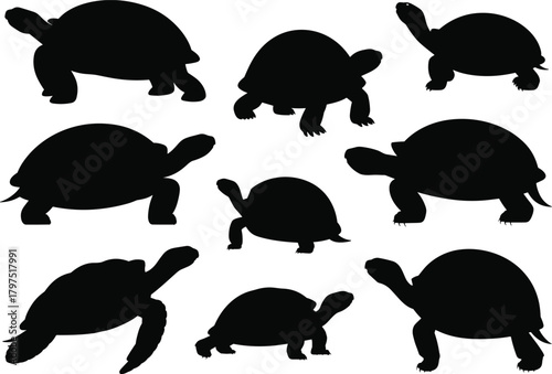 Tortoise silhouette, reptile pose collection, black animal icons, slow motion design, shell shape artwork, wildlife graphic, nature illustration